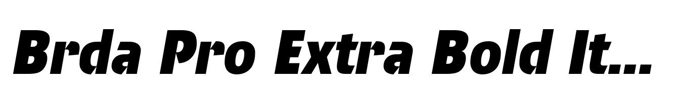 Brda Pro Extra Bold Italic